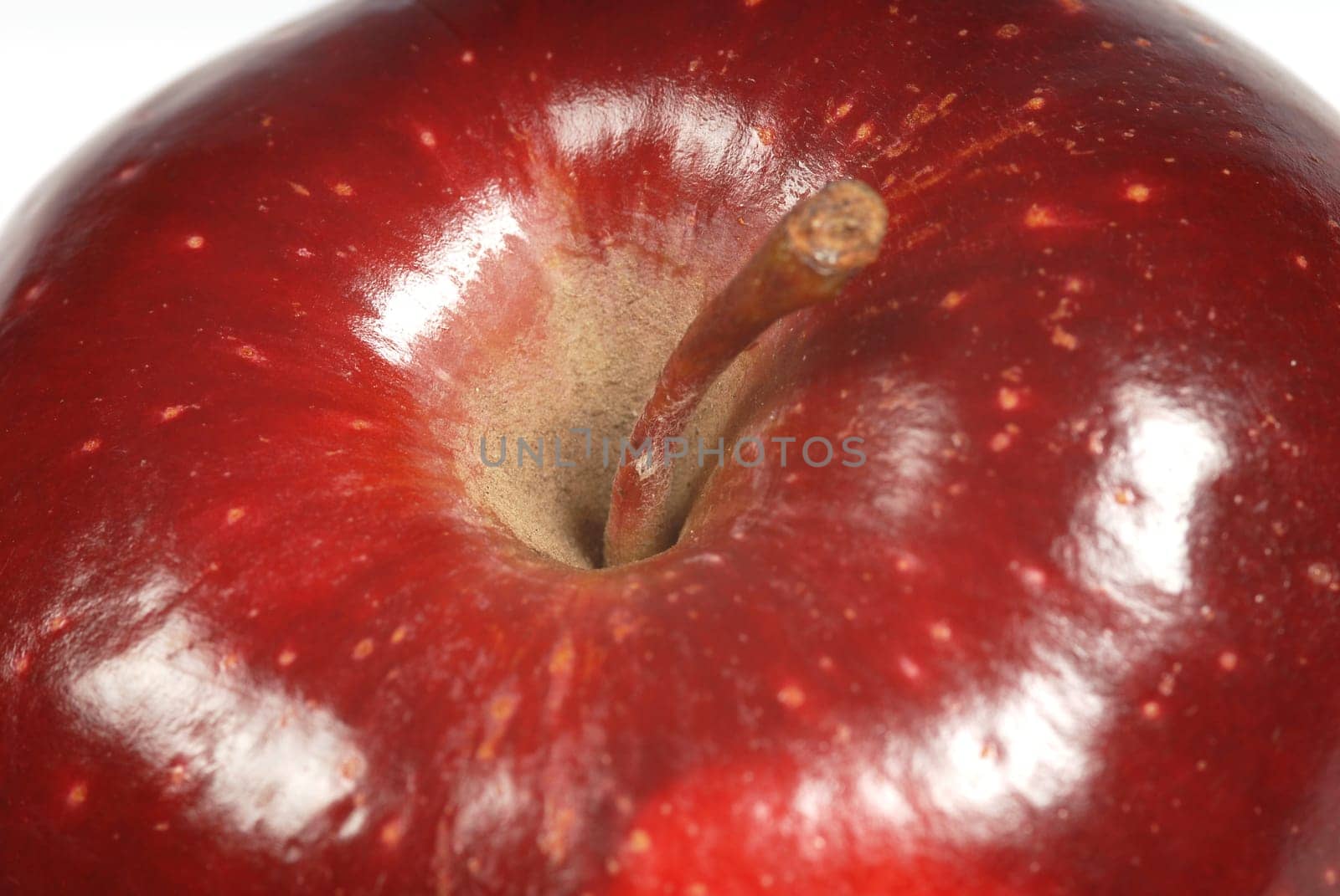 closeup of an apple