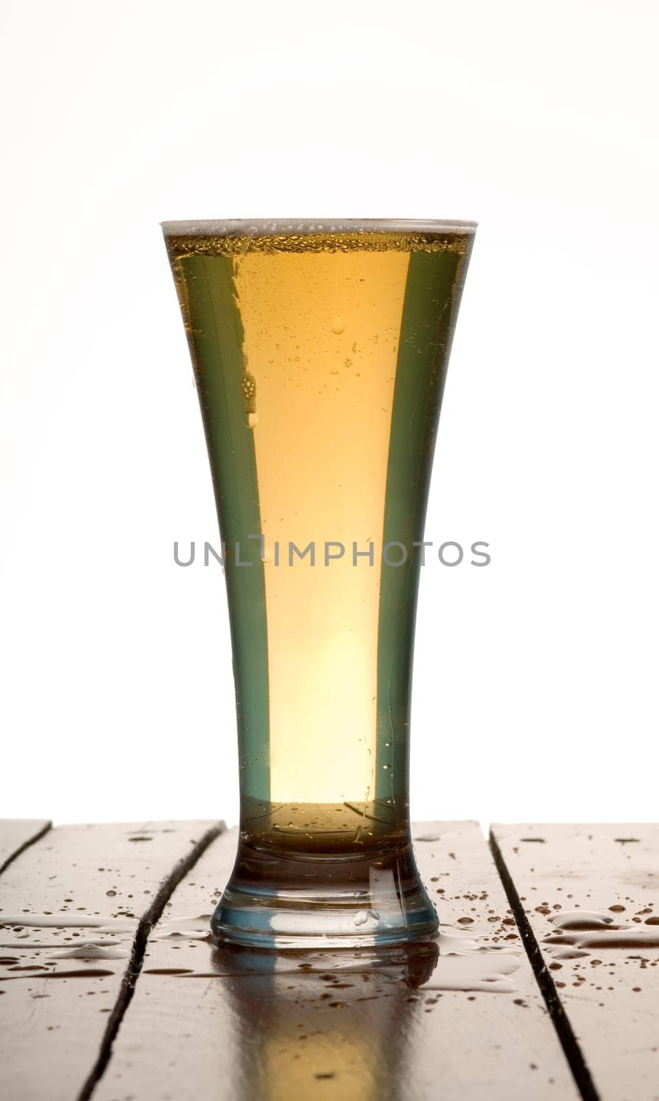 beer in glass with white background