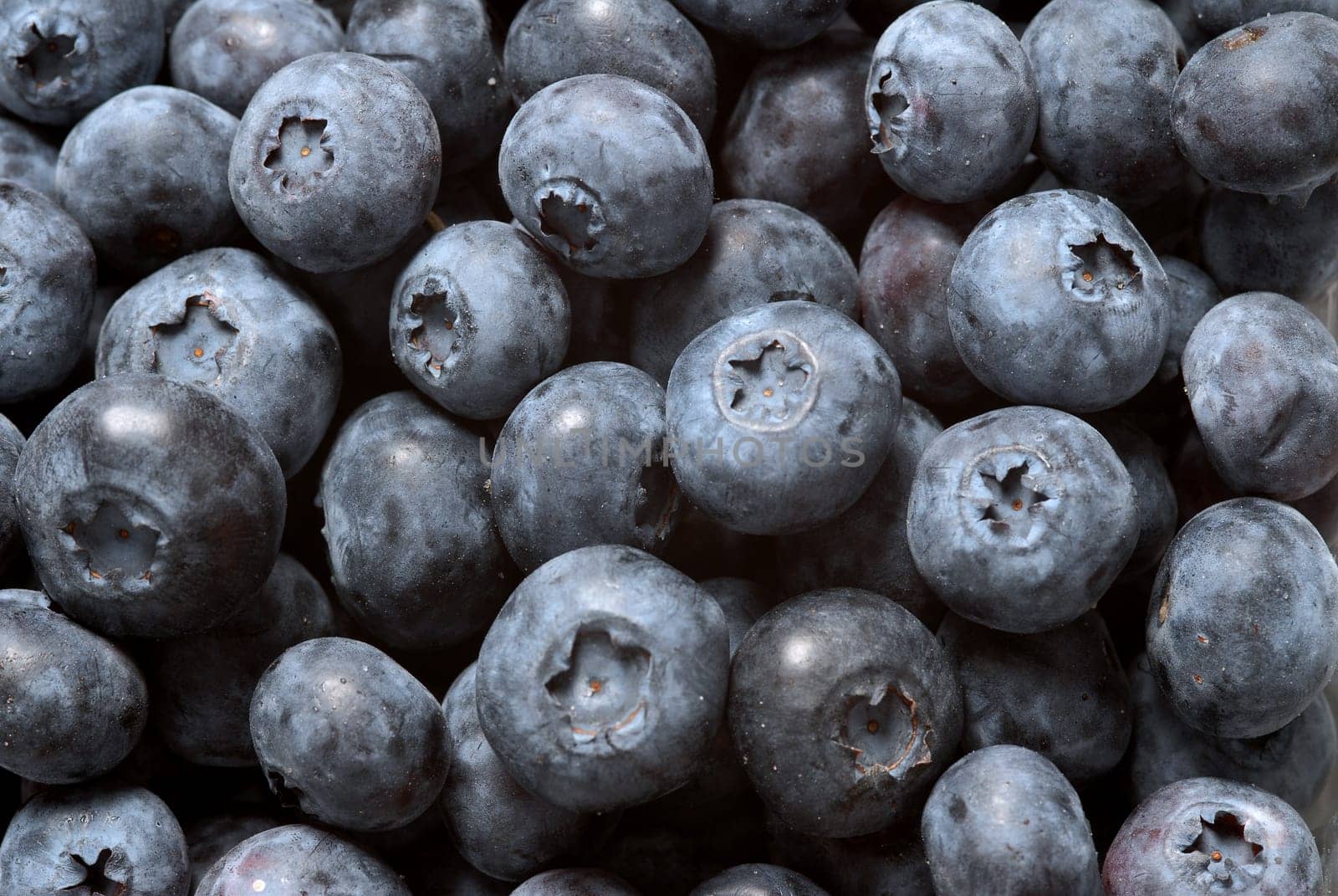 buch of blueberries
