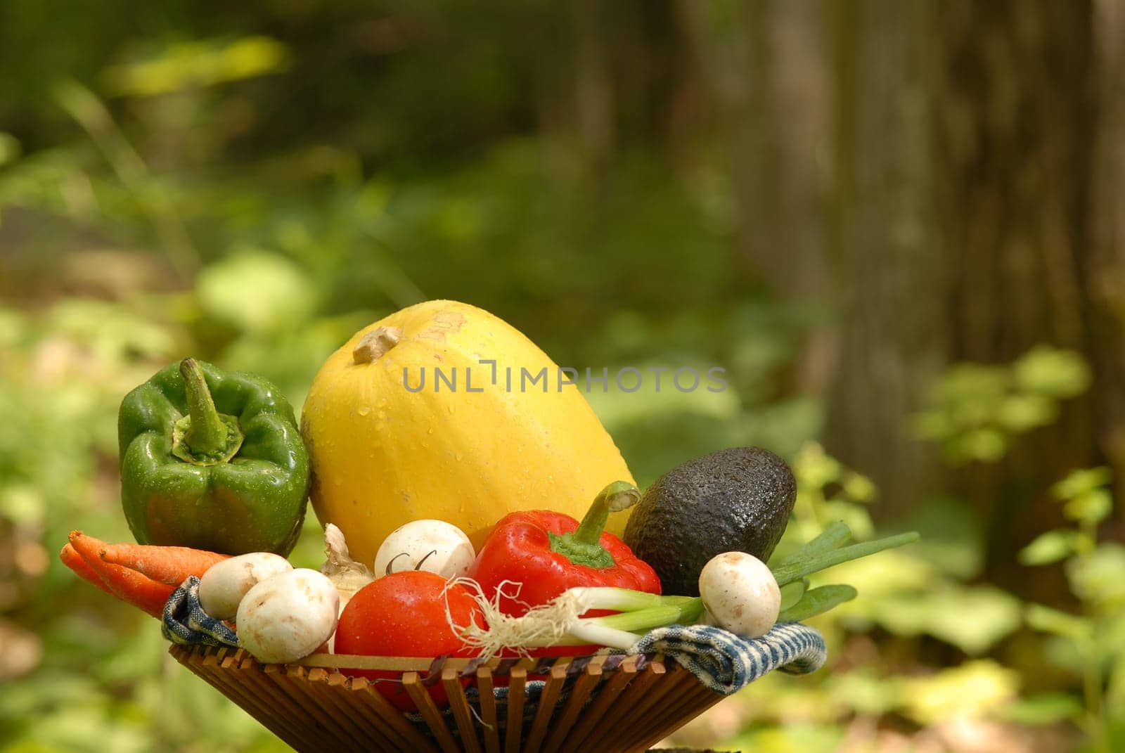 vegetables in a basket shot in nature setting