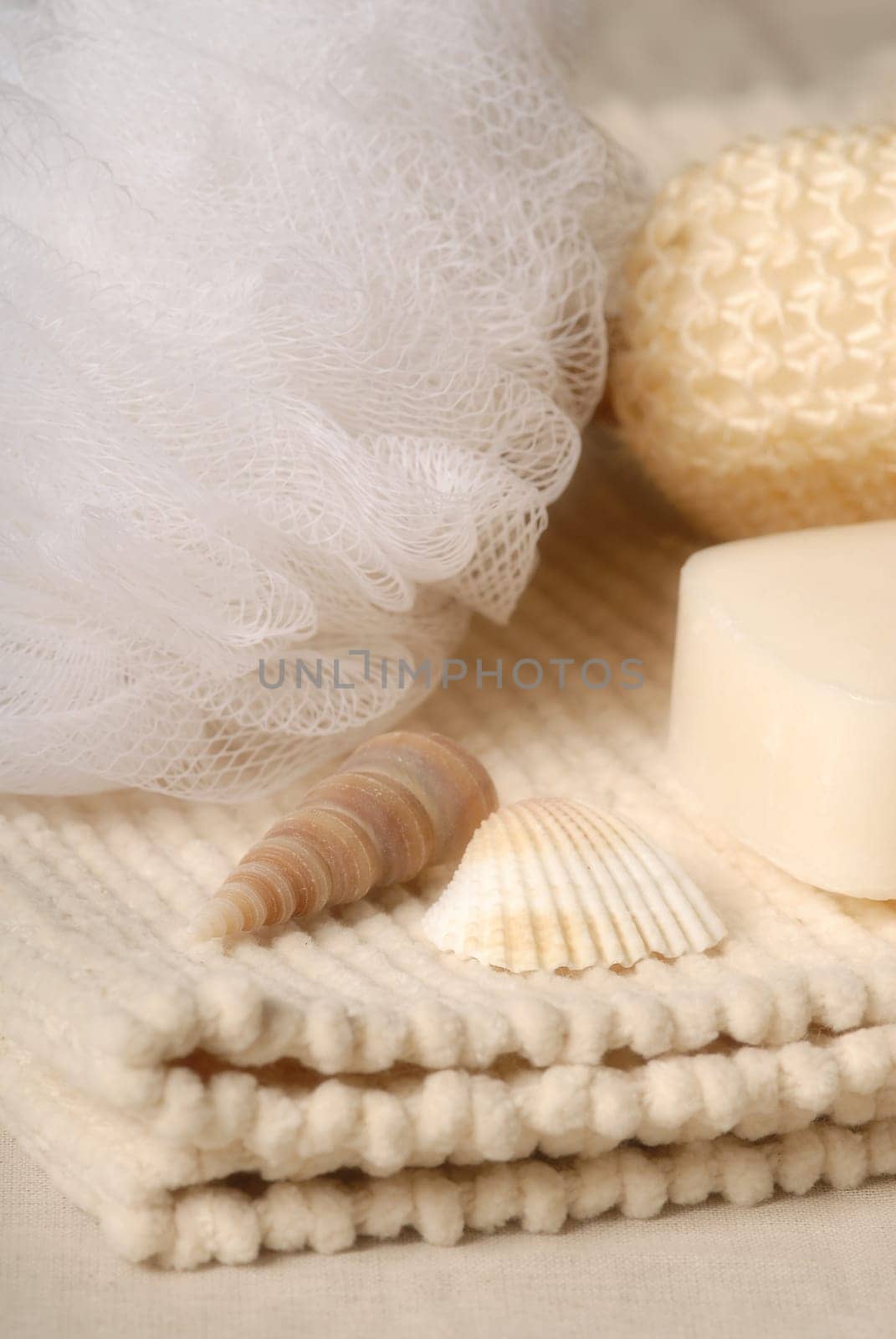 soap and sponge