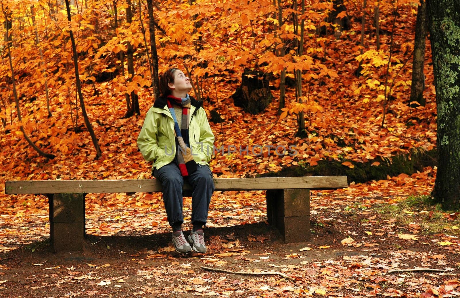 Autumn
