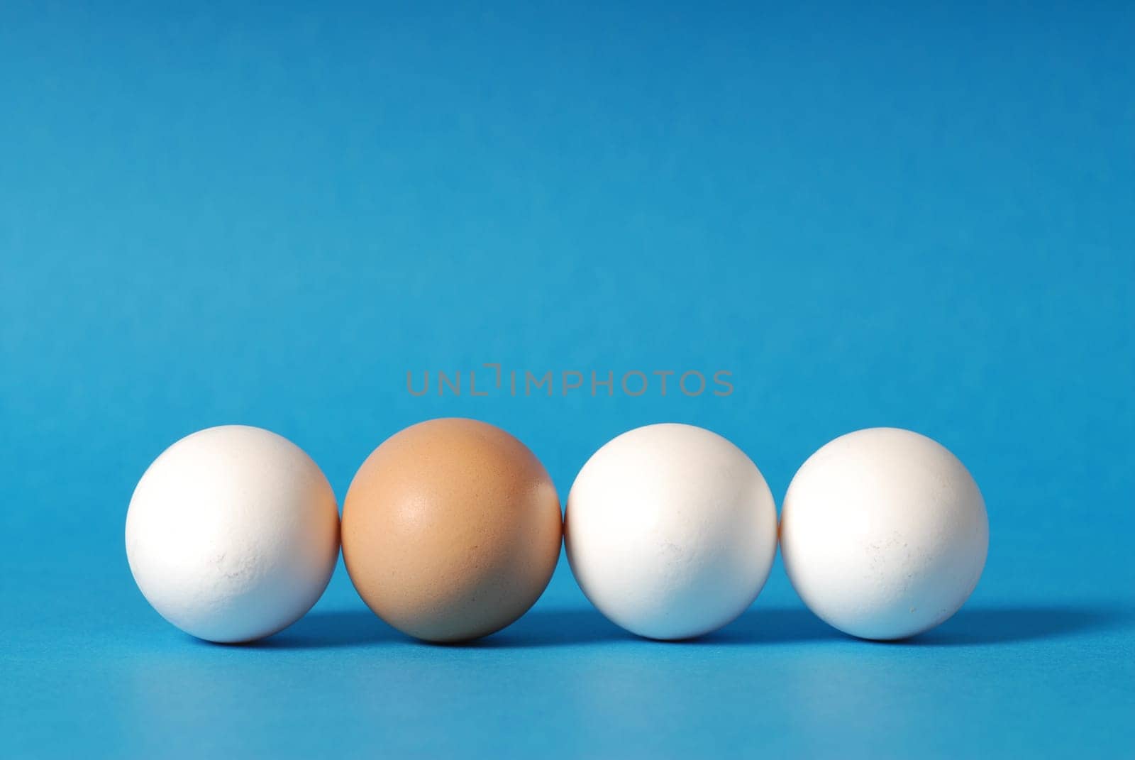 side view of eggs