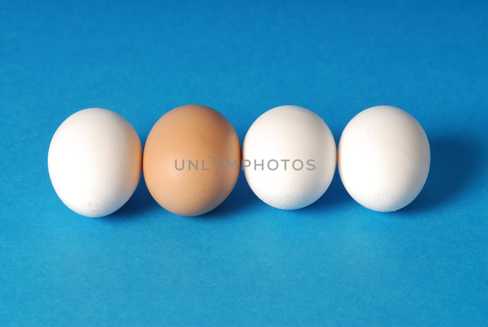 eggs on blue background