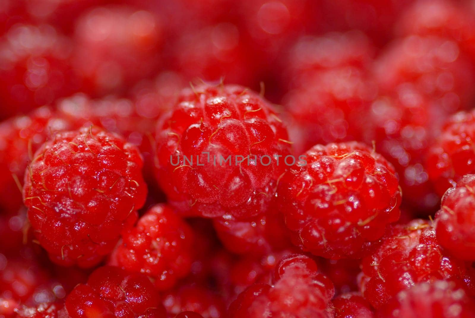 macro of fruit