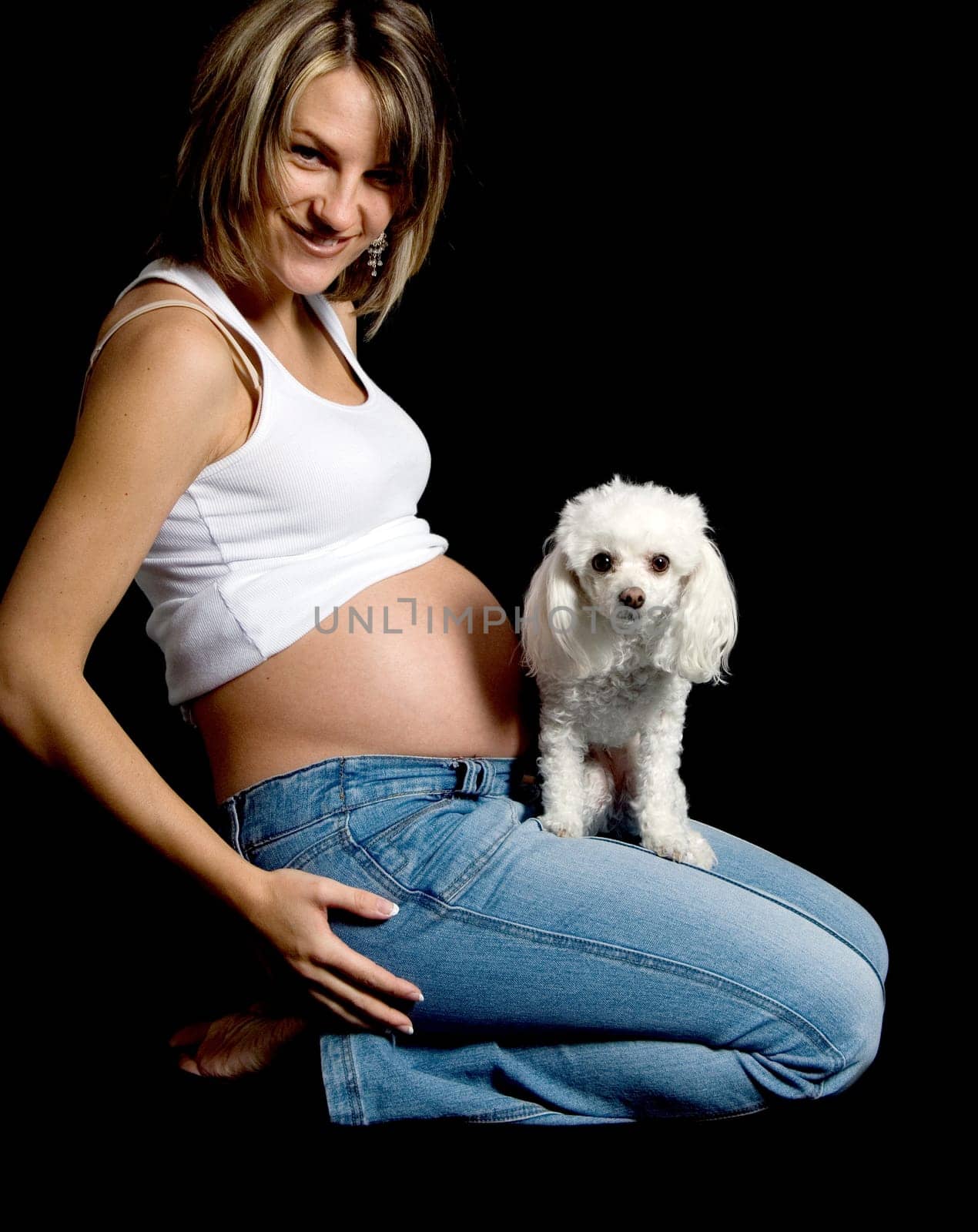 poodle dog on future mother's lap on black