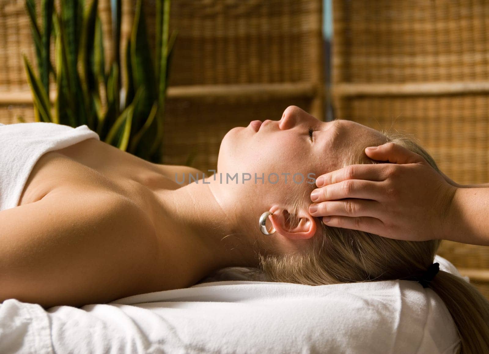woman in a day spa getting a head massage with green plant