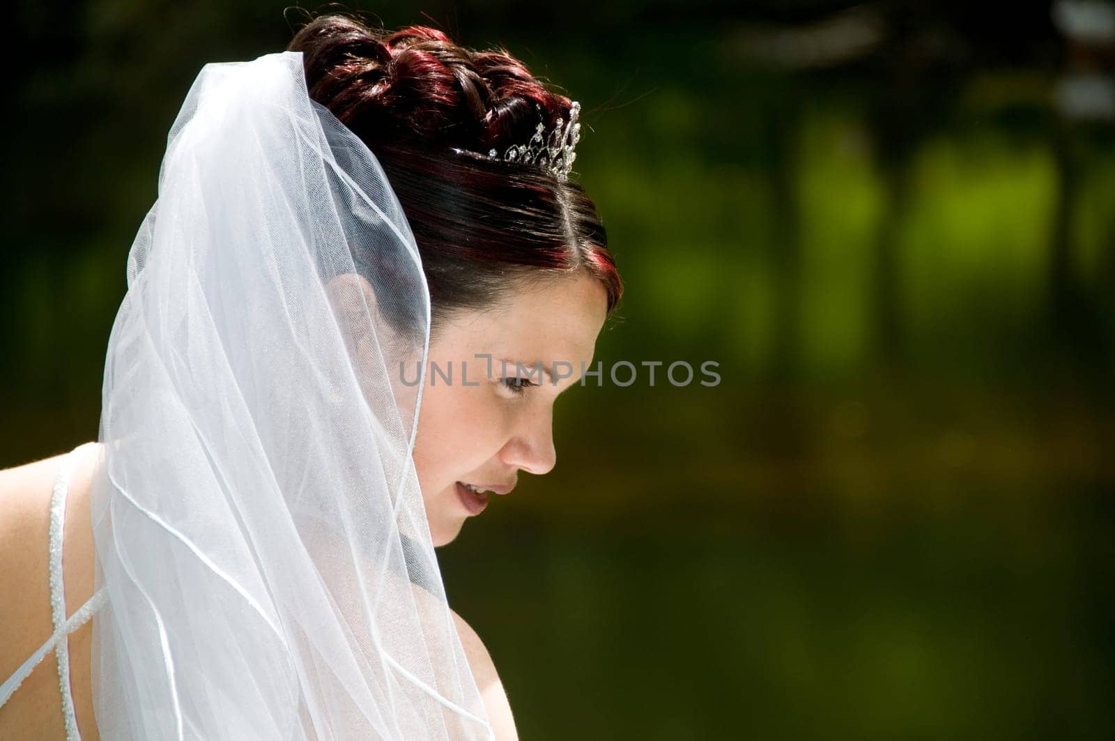 White Bride at her wedding posing with veil