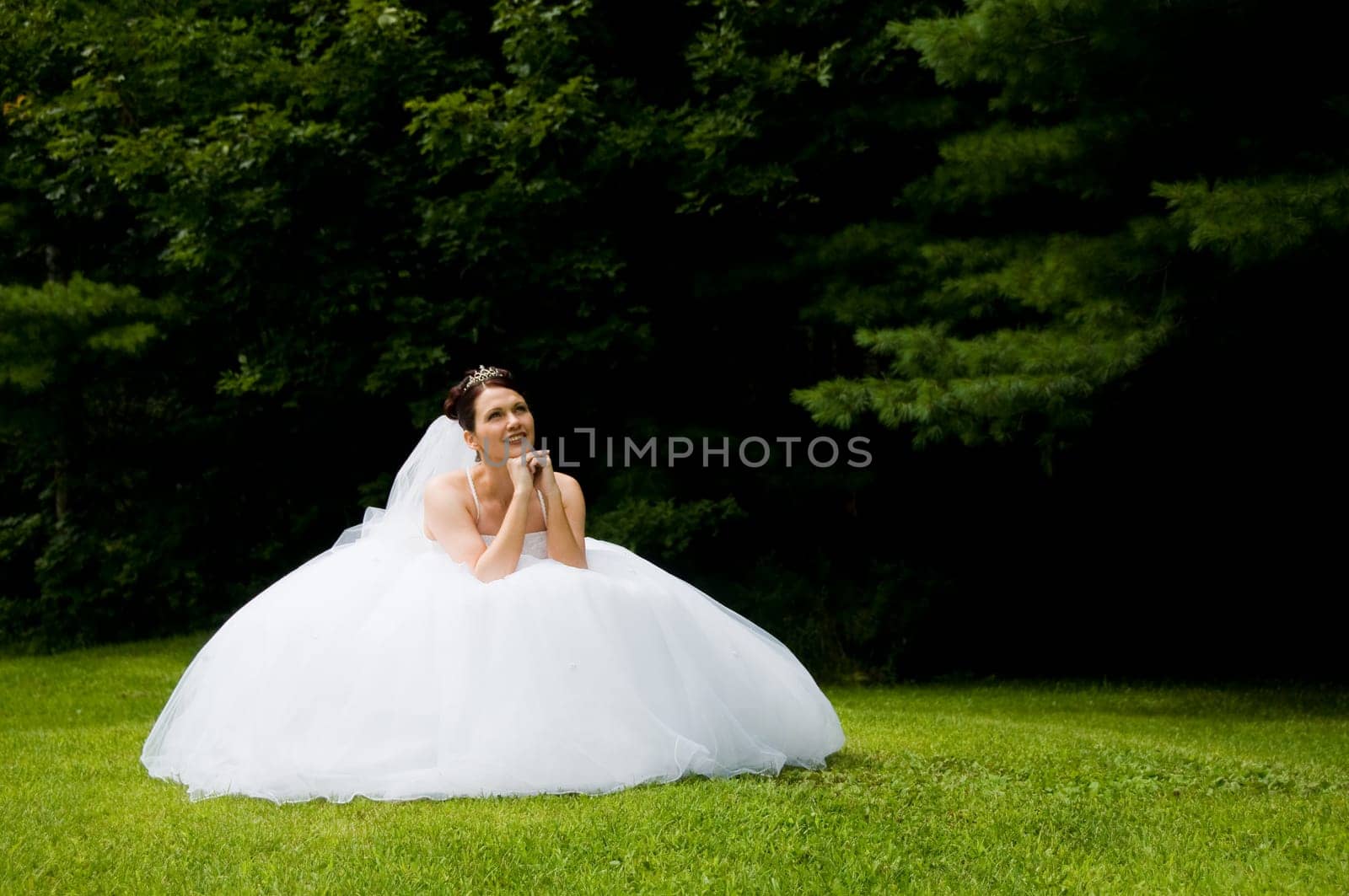 White Bride at her wedding posing with veil