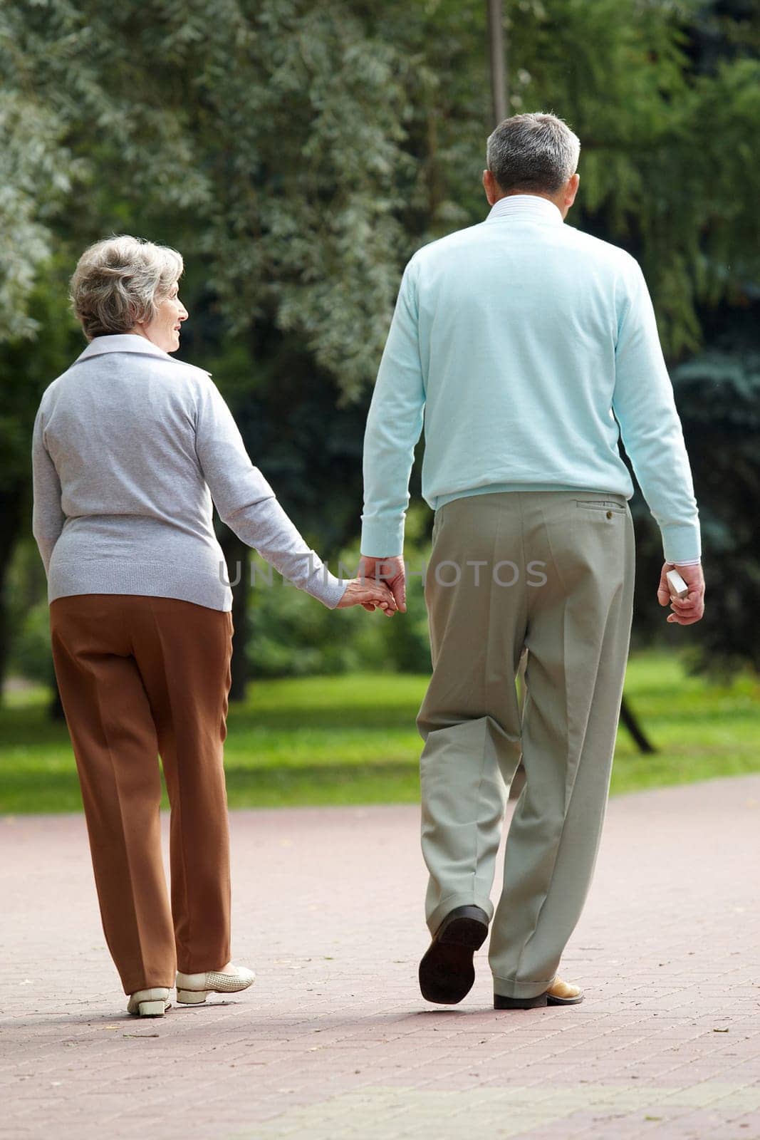 Rear view of senior couple walking down in park and chatting