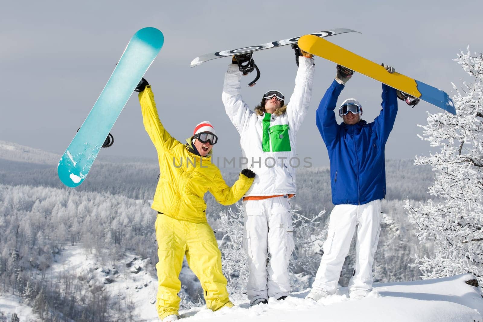 Portrait of three happy young snowboarders raising their arms