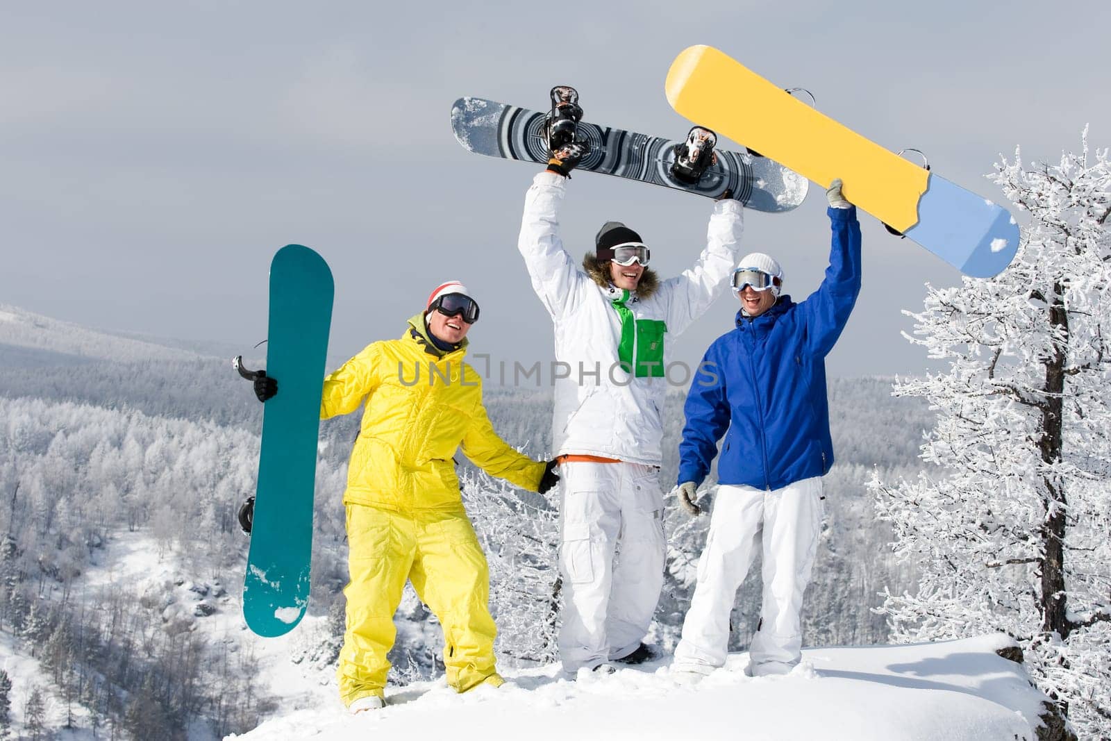 Portrait of three successful snowboarders raising their arms