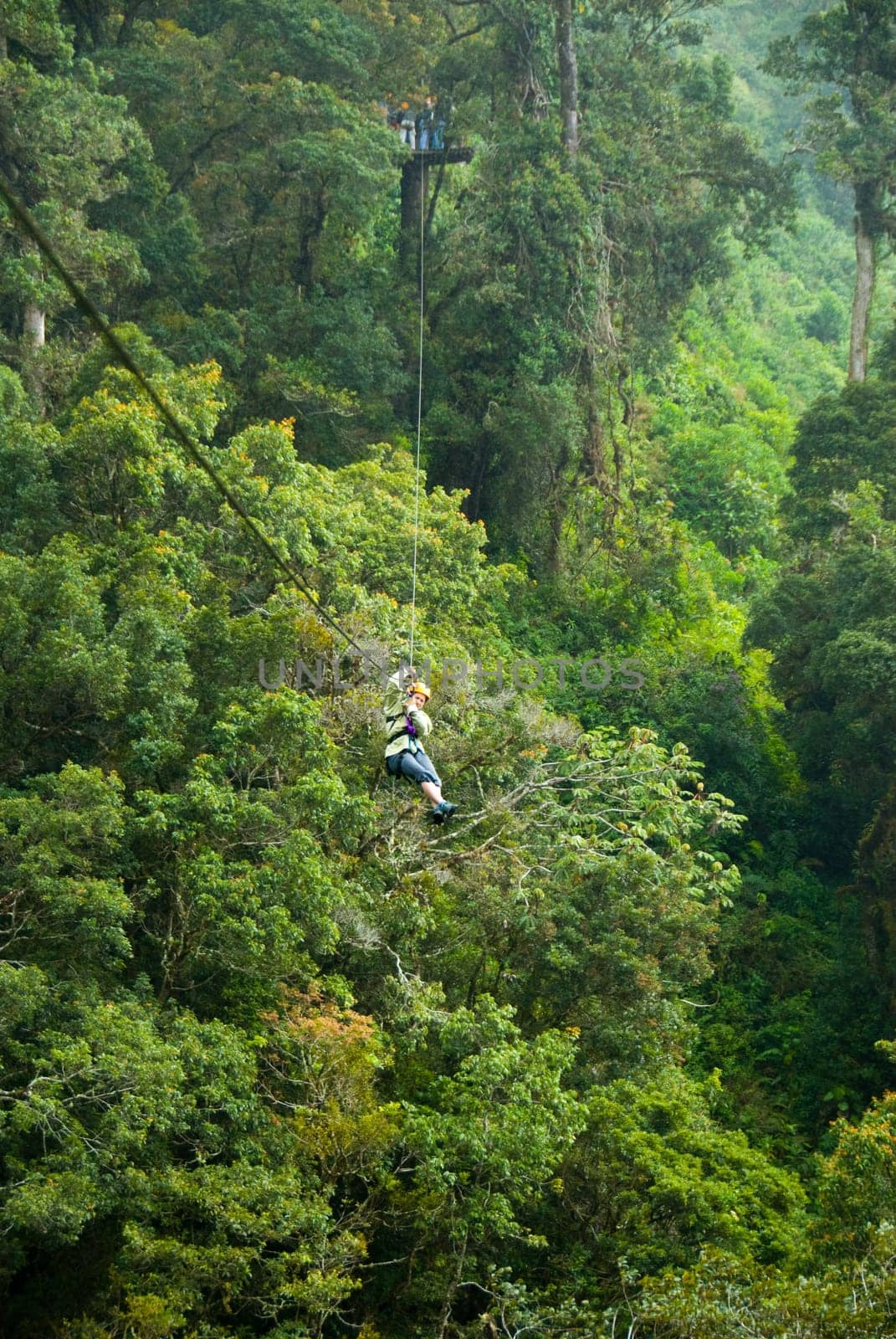 woman on a zip line in panama canopy
