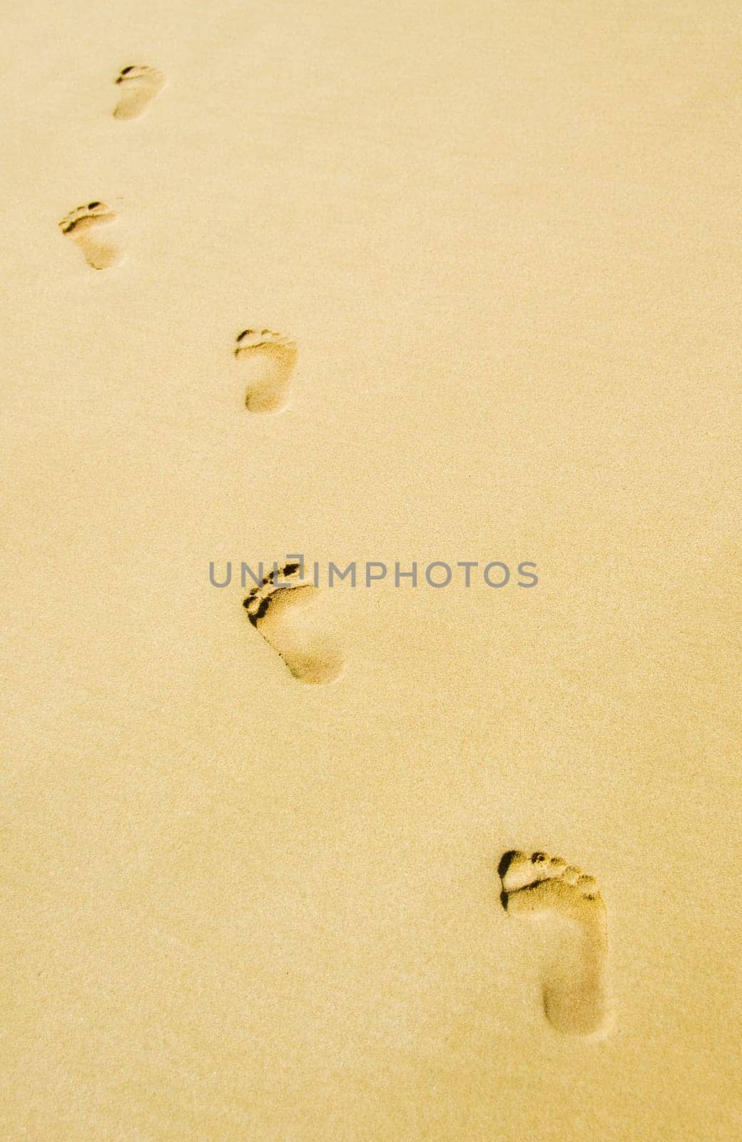 foot steps on the beach in the tropics