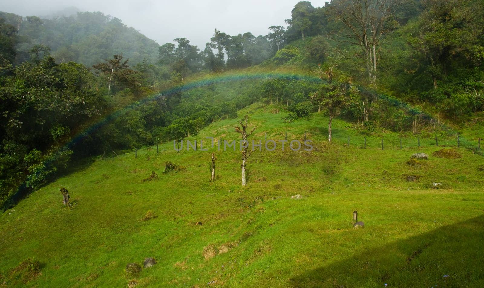 this is a rainbow in the rain forest of Panama