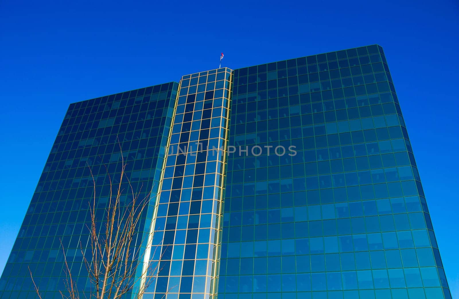 office building of glass on a blue sky