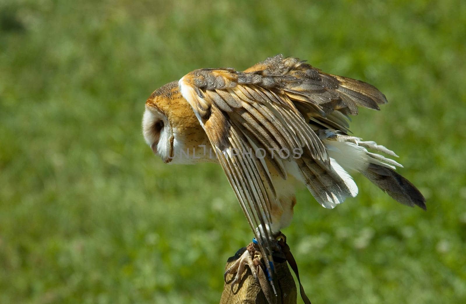 getting ready to take off