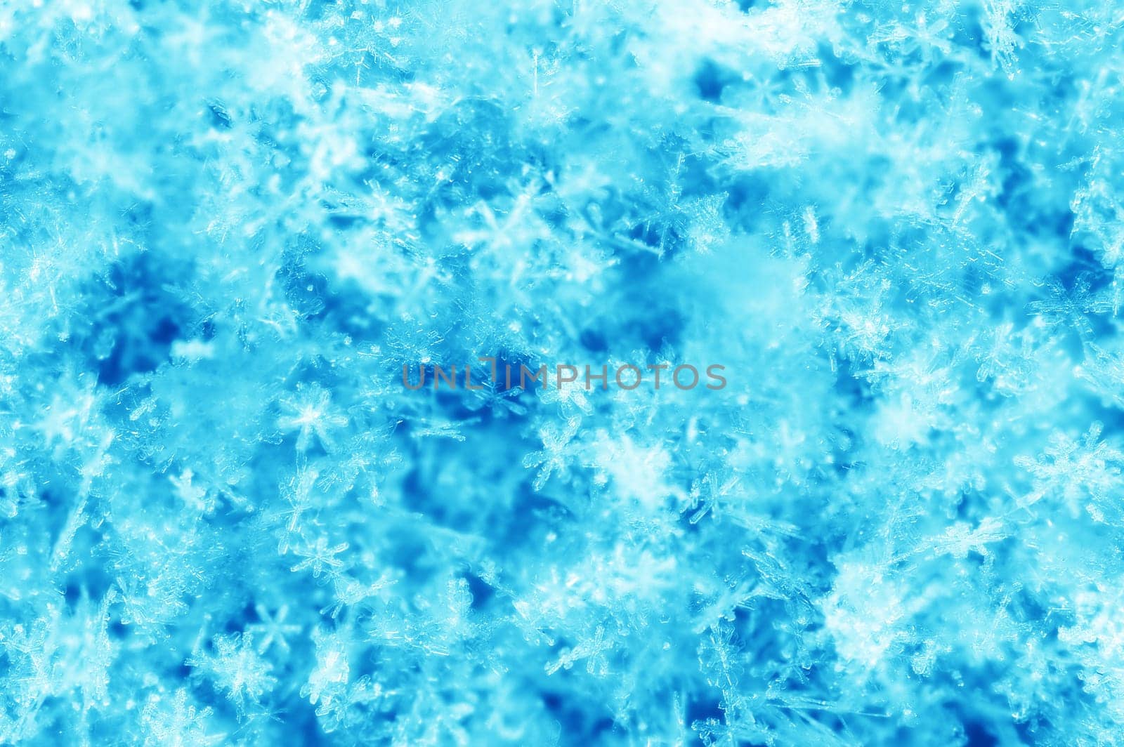 snow flakes in blue in winter in a bunch