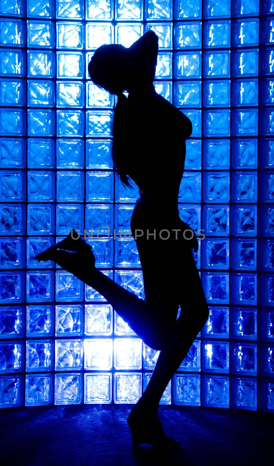 Sexy Silhouette female on a blue glass wall