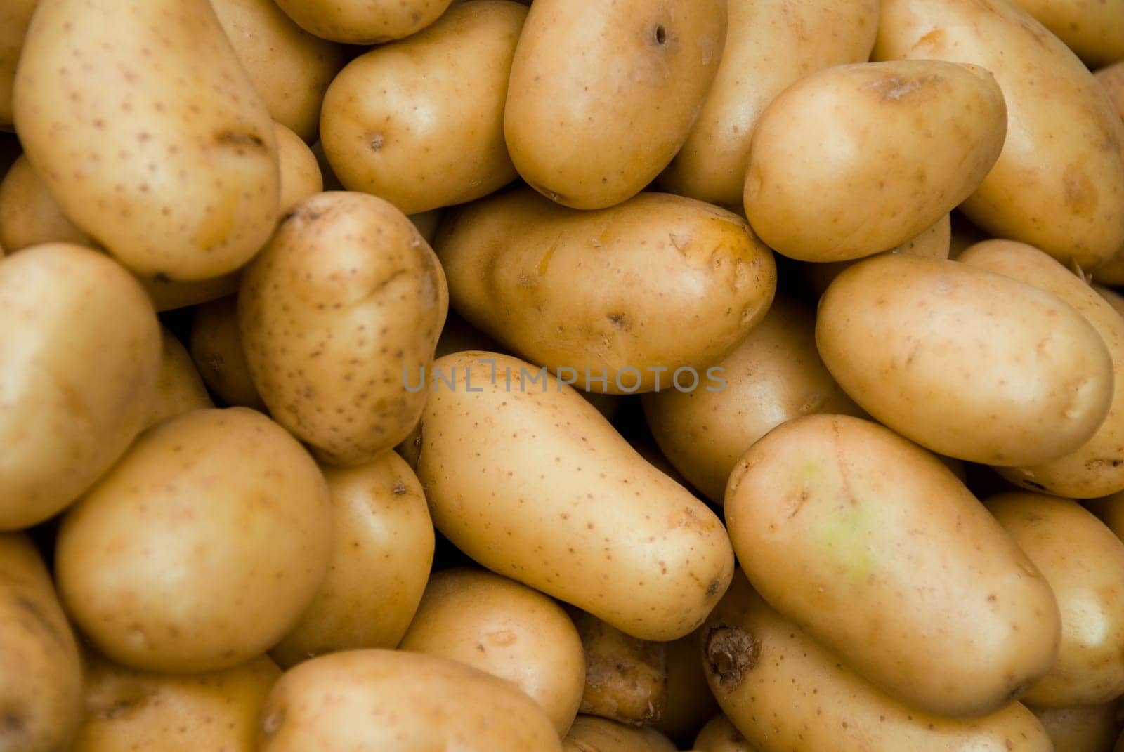 fresh potatoes yellow at a farmers market