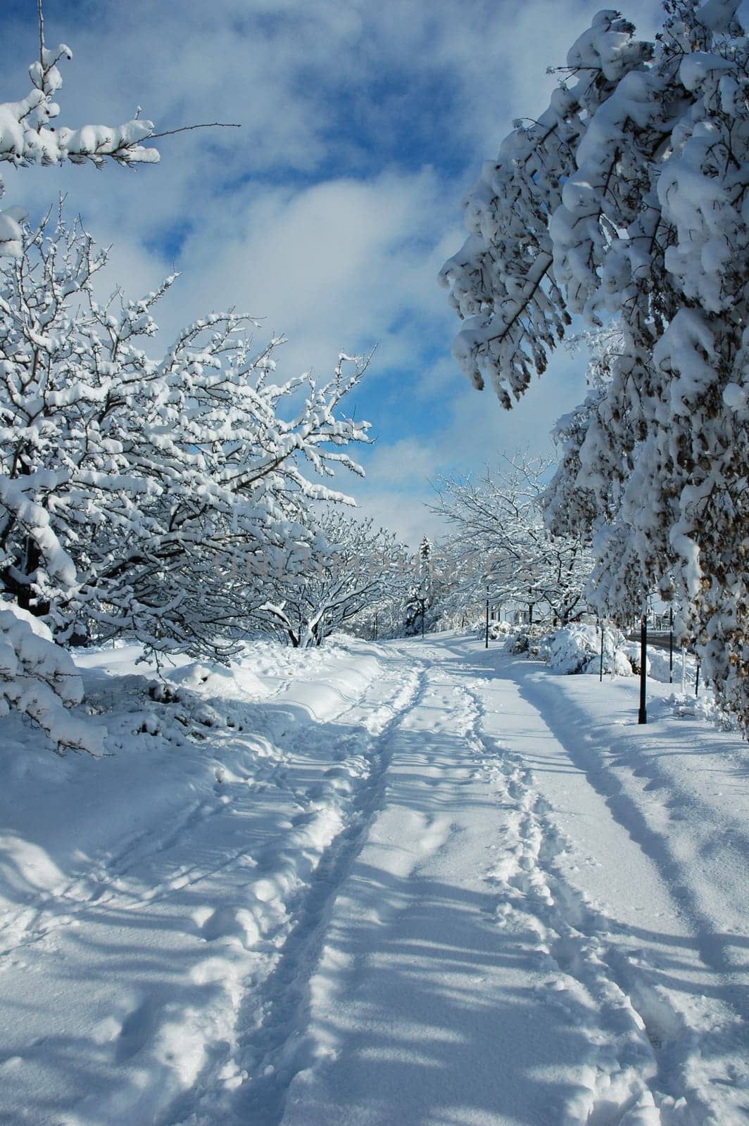 pedestrian walkway