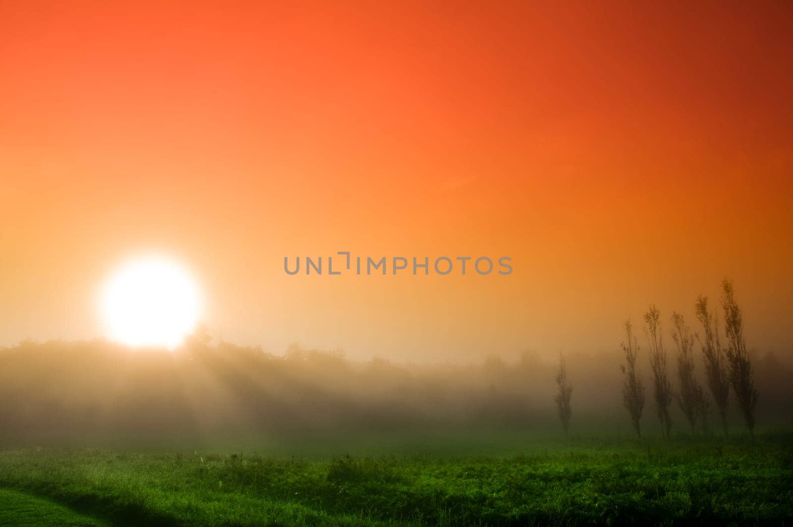 beautiful sunrise over a field in the countryside