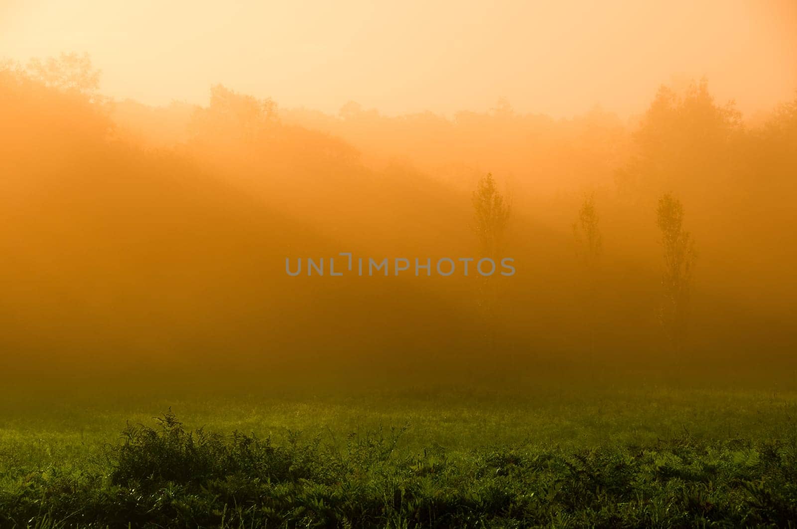 beautiful sunrise over a field in the countryside