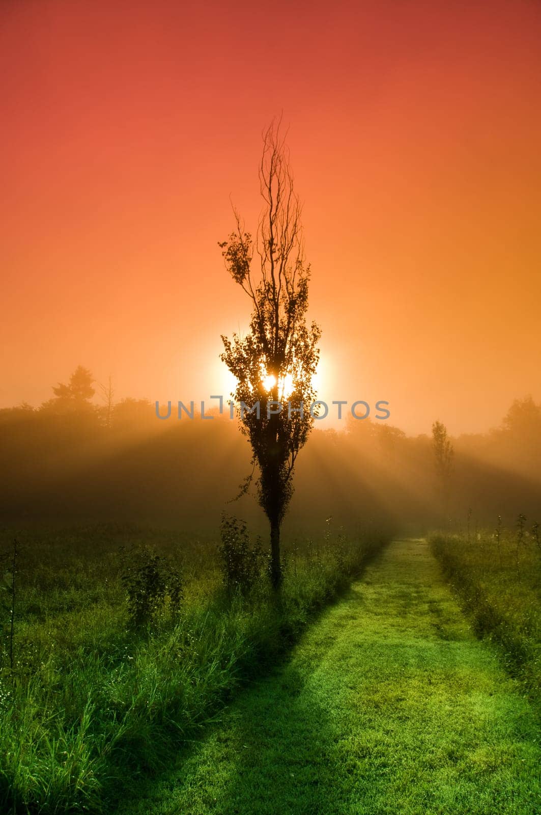 beautiful sunrise over a field in the countryside