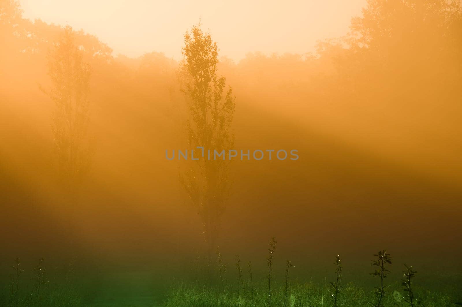 beautiful sunrise over a field in the countryside