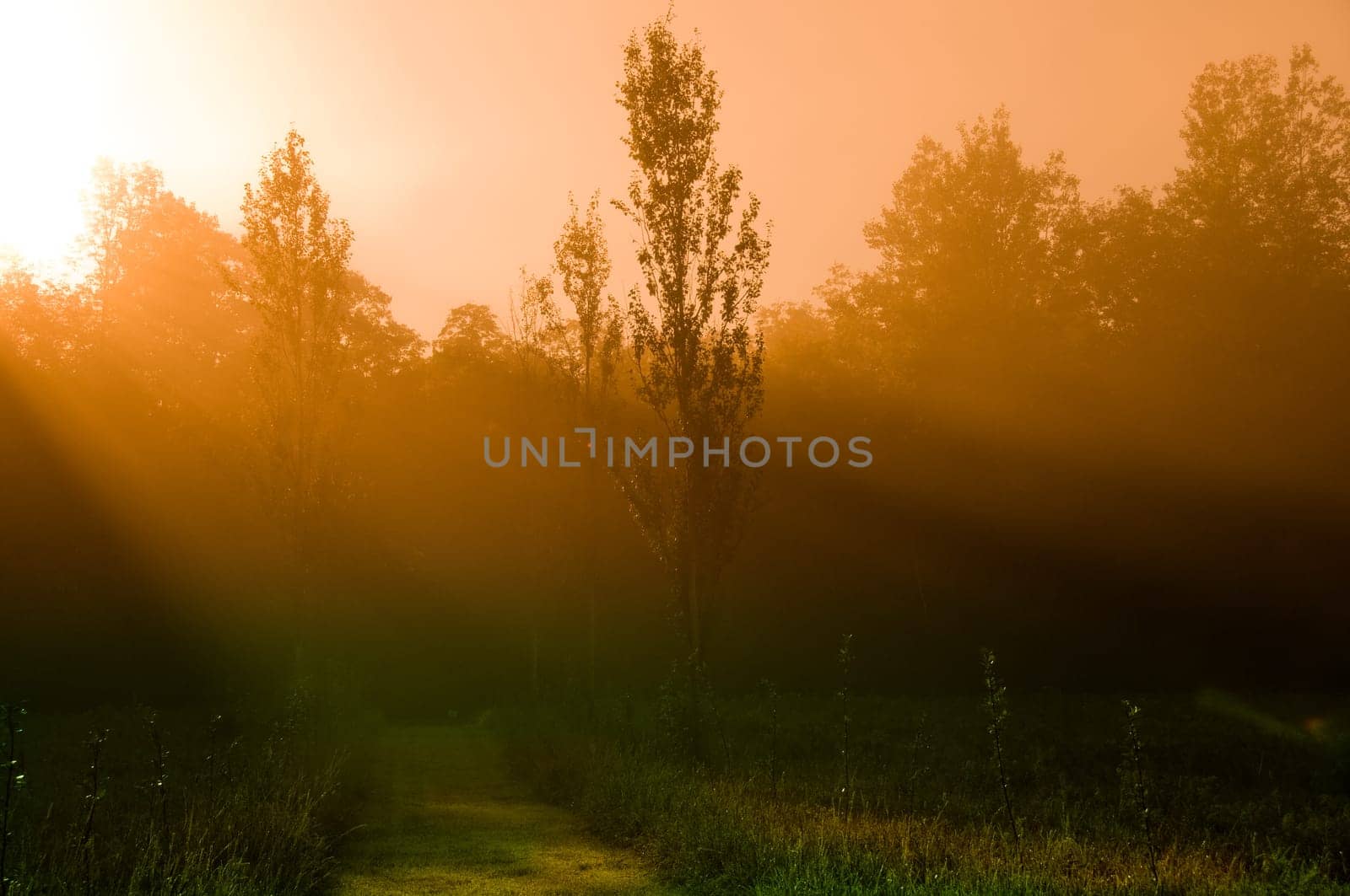 beautiful sunrise over a field in the countryside