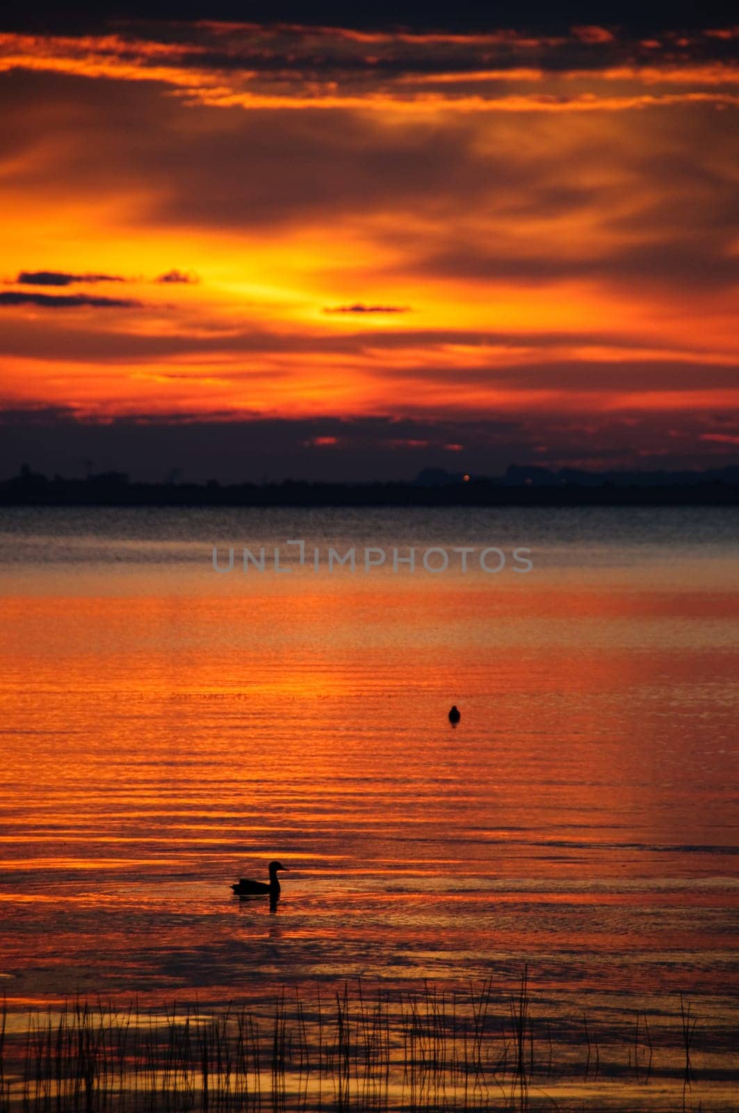 watching a sunset on the calm water