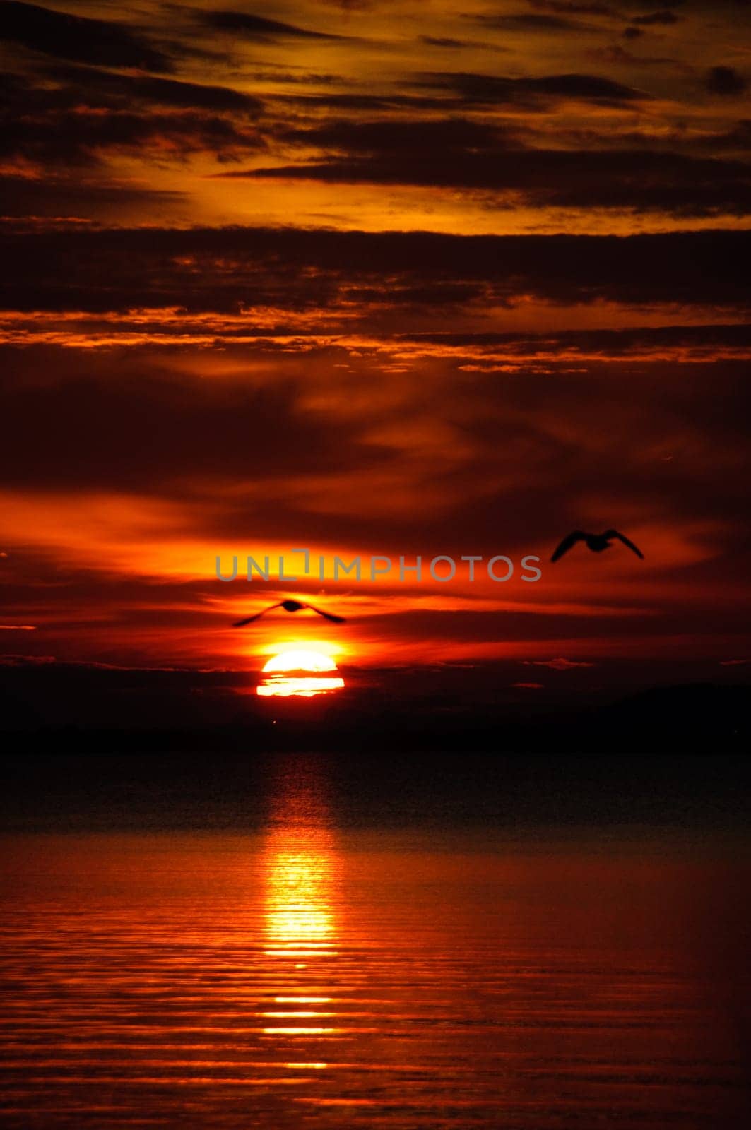 watching a sunset on the calm water