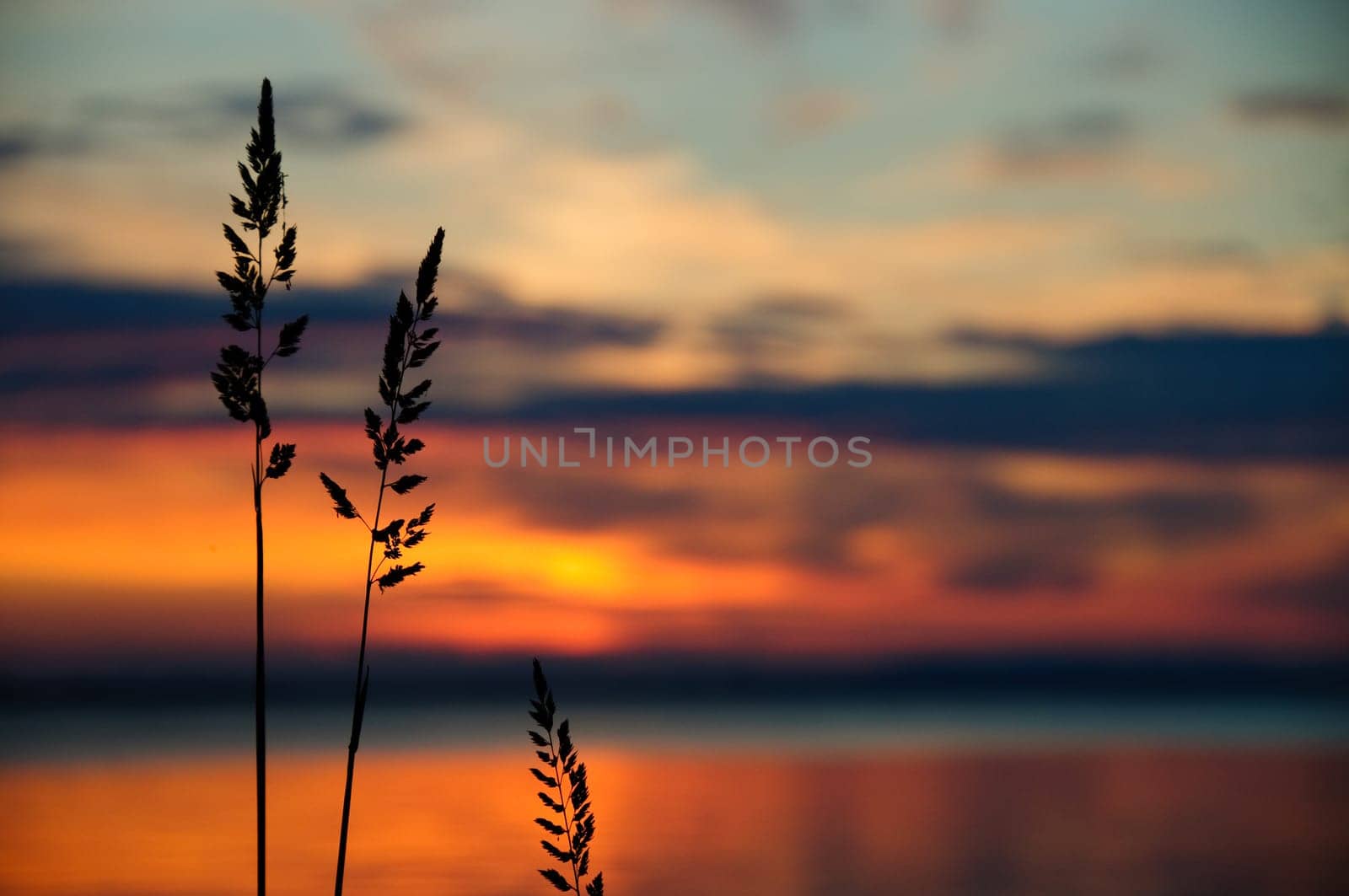 watching a sunset on the calm water