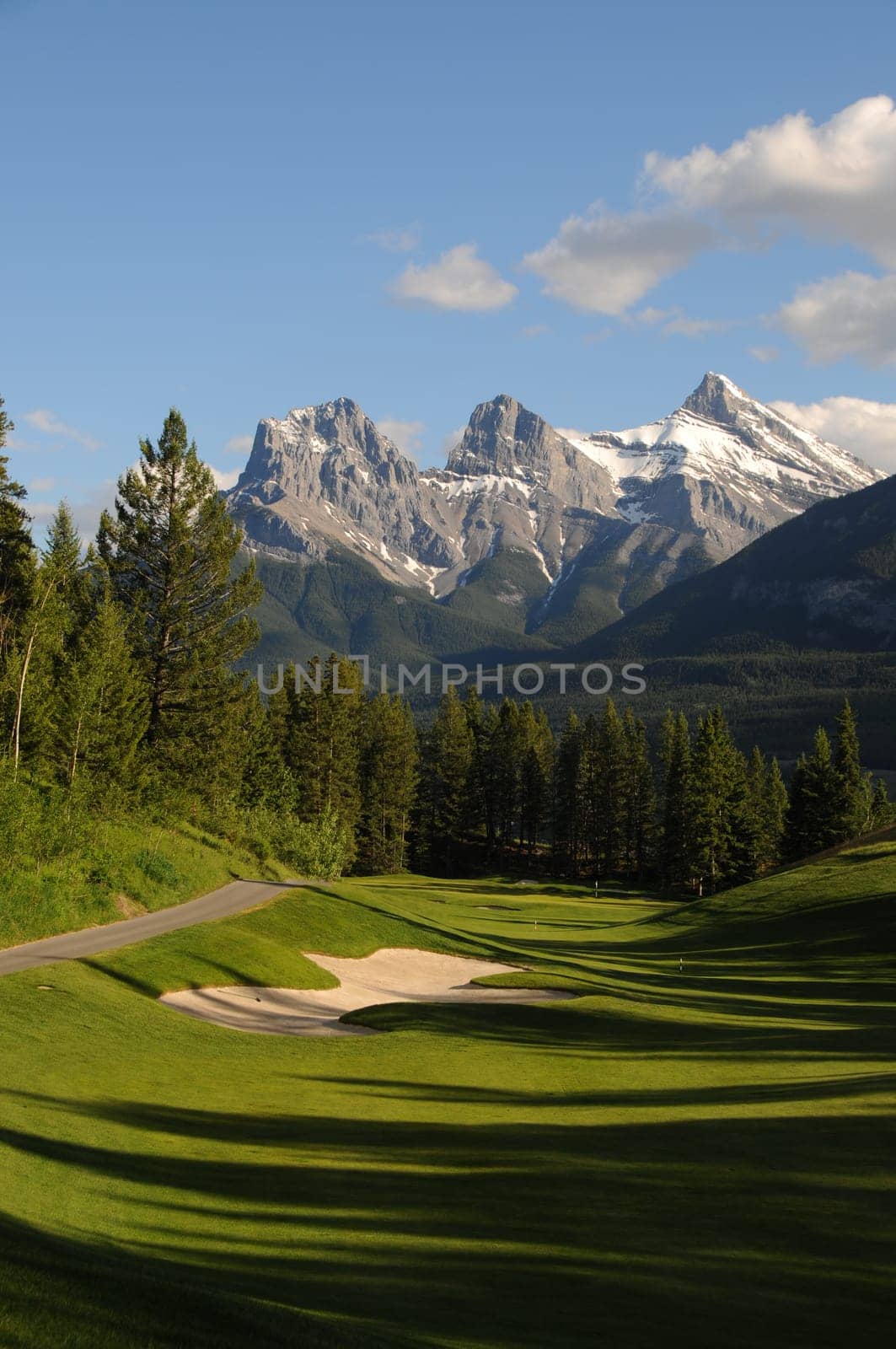golf course land scape on green grass