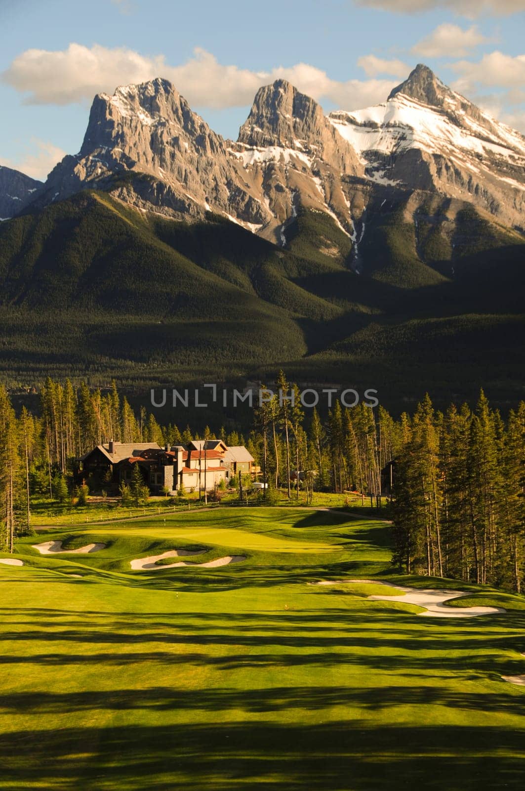 golf course land scape on green grass