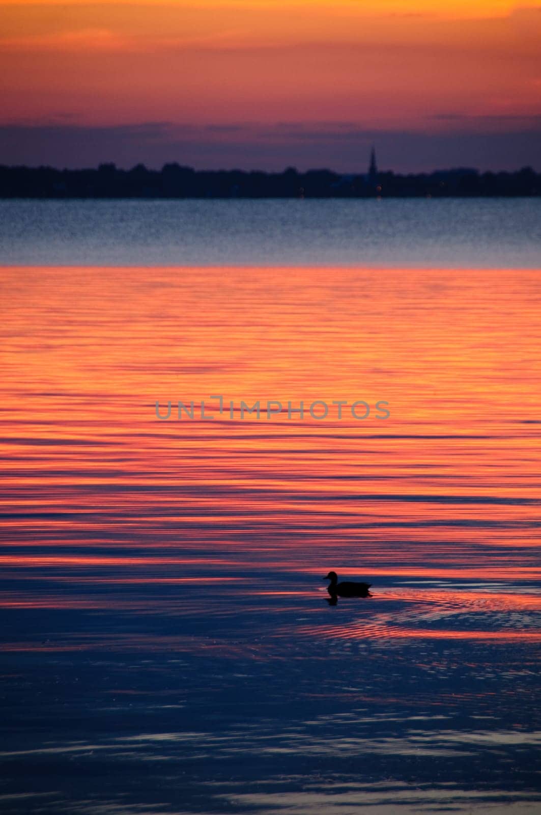 watching a sunset on the calm water