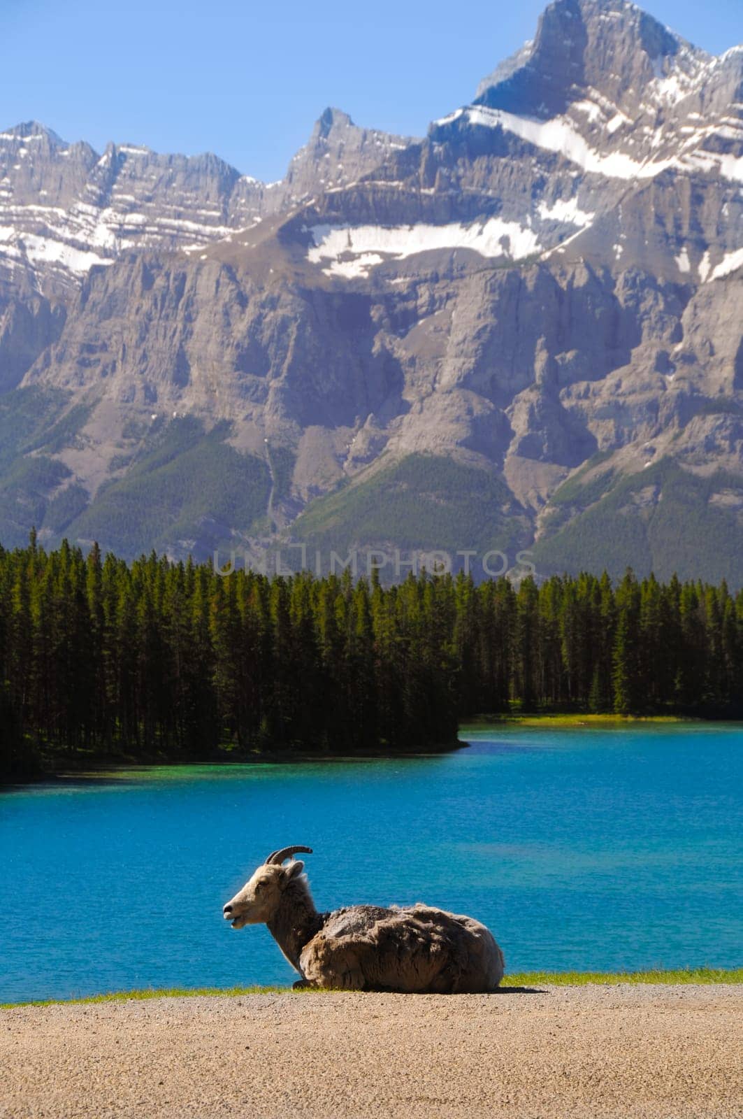 blue lake and some mountain in canada