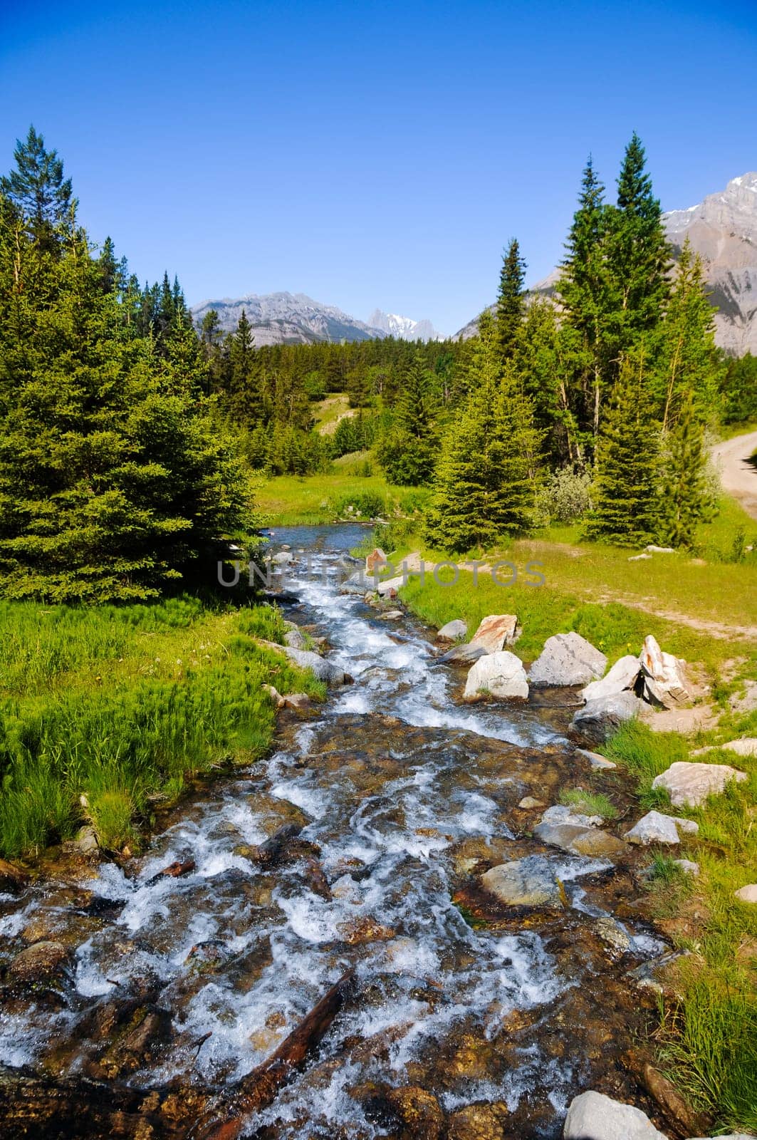 small river in alberta canada with some mountains
