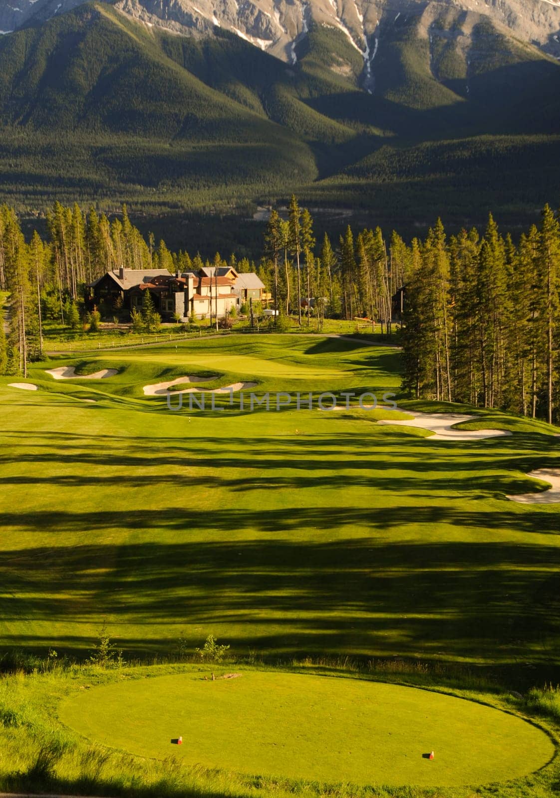 golf course land scape on green grass