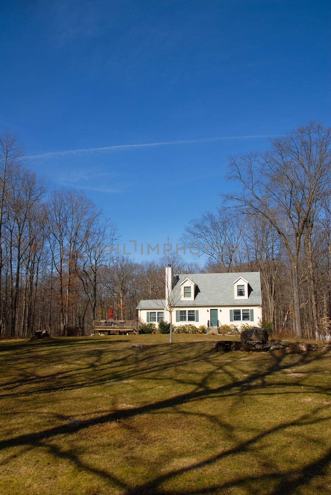 Home in the country with woods and grass