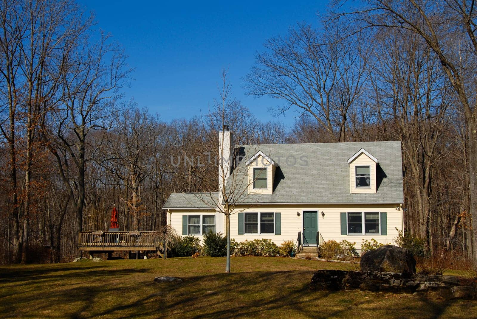 House in the country with many trees