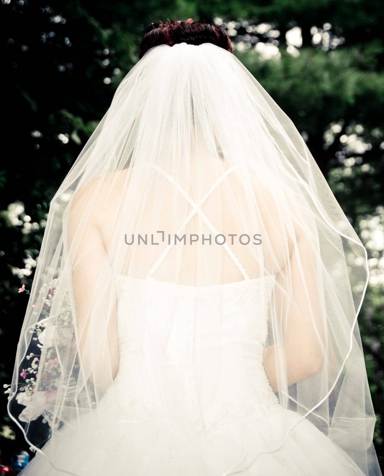White Bride at her wedding posing with veil