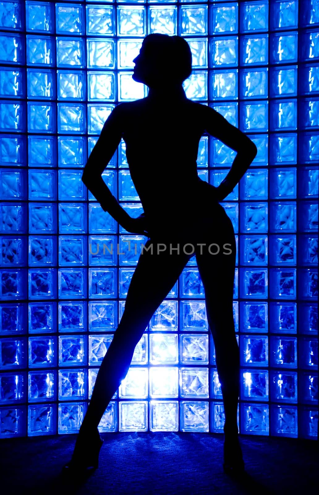 Sexy Silhouette female on a blue glass wall