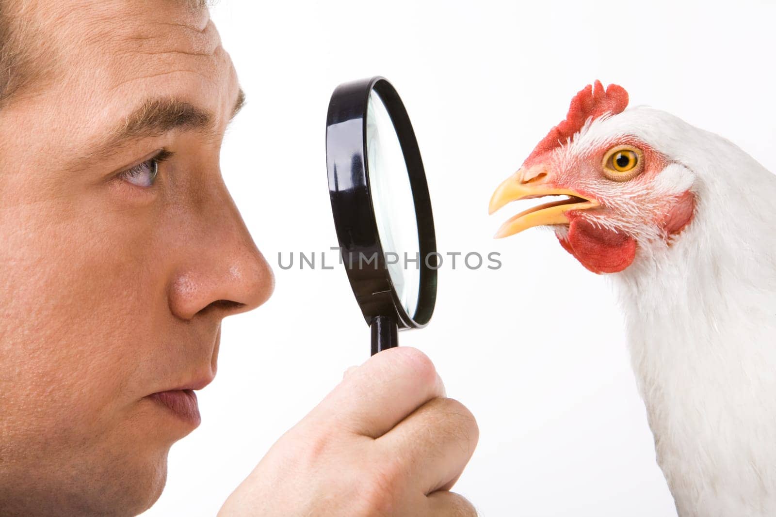 Close-up profiles of man and hen looking at each other through lens in males hand