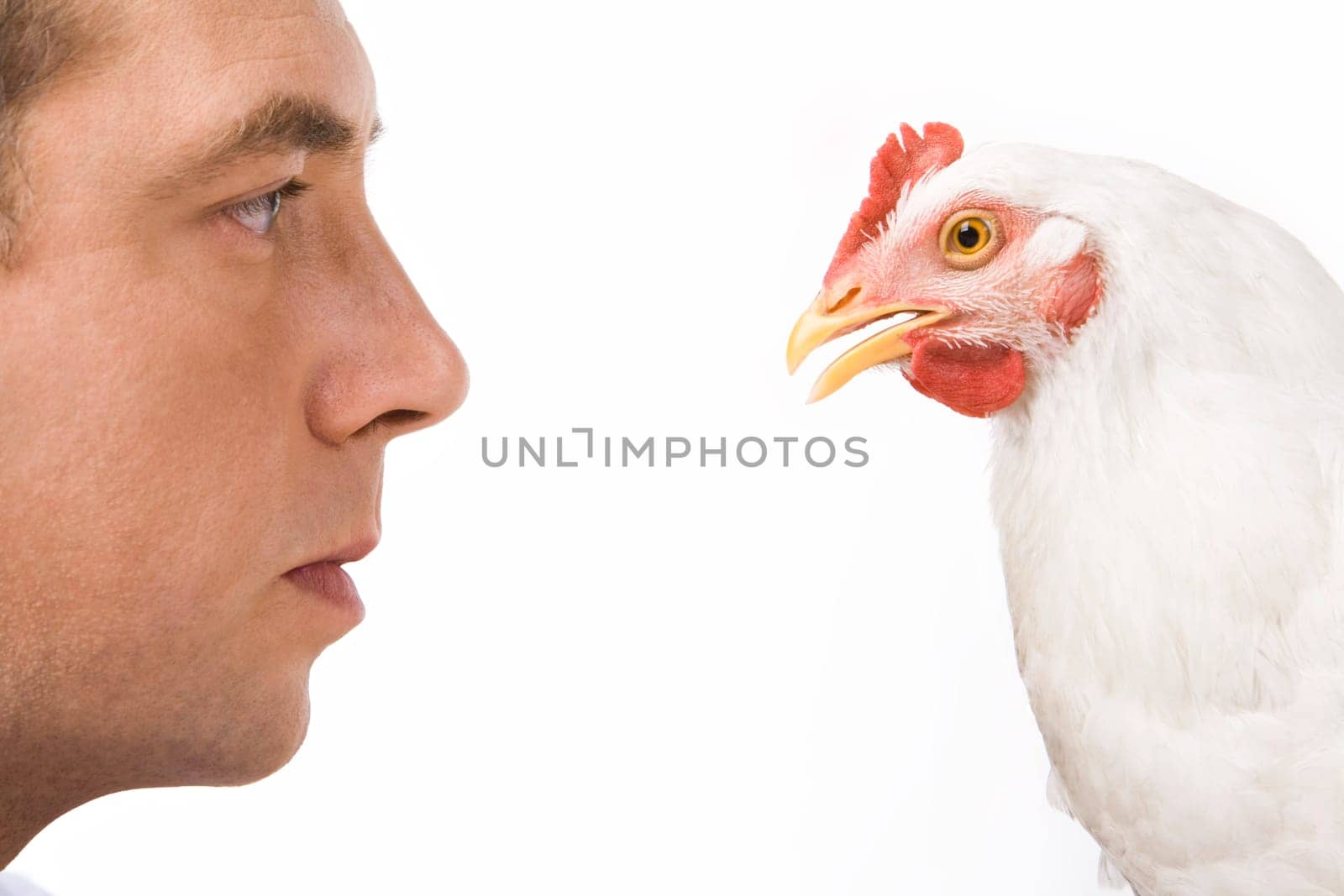Profiles of man and white chicken looking at each other