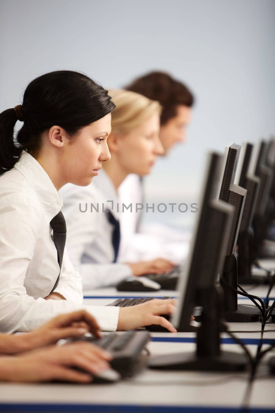 Row of businesspeople concentrating on their computer work