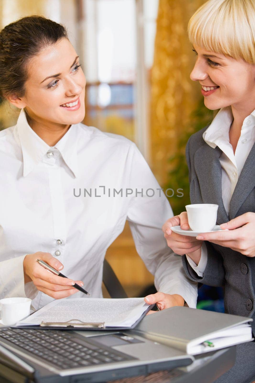 Portrait of  two women discussing a business-plan while working dinner