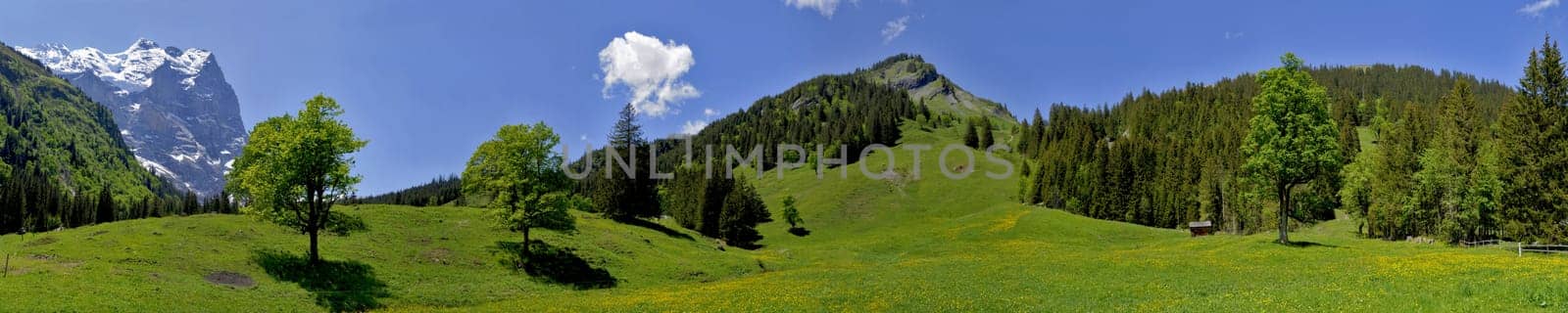 Schwarzwaldalp