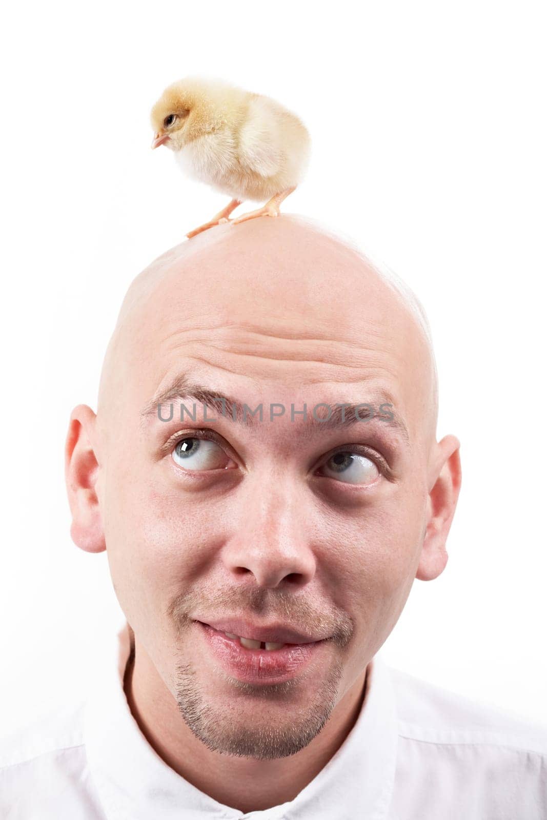Portrait of handsome man with little chick