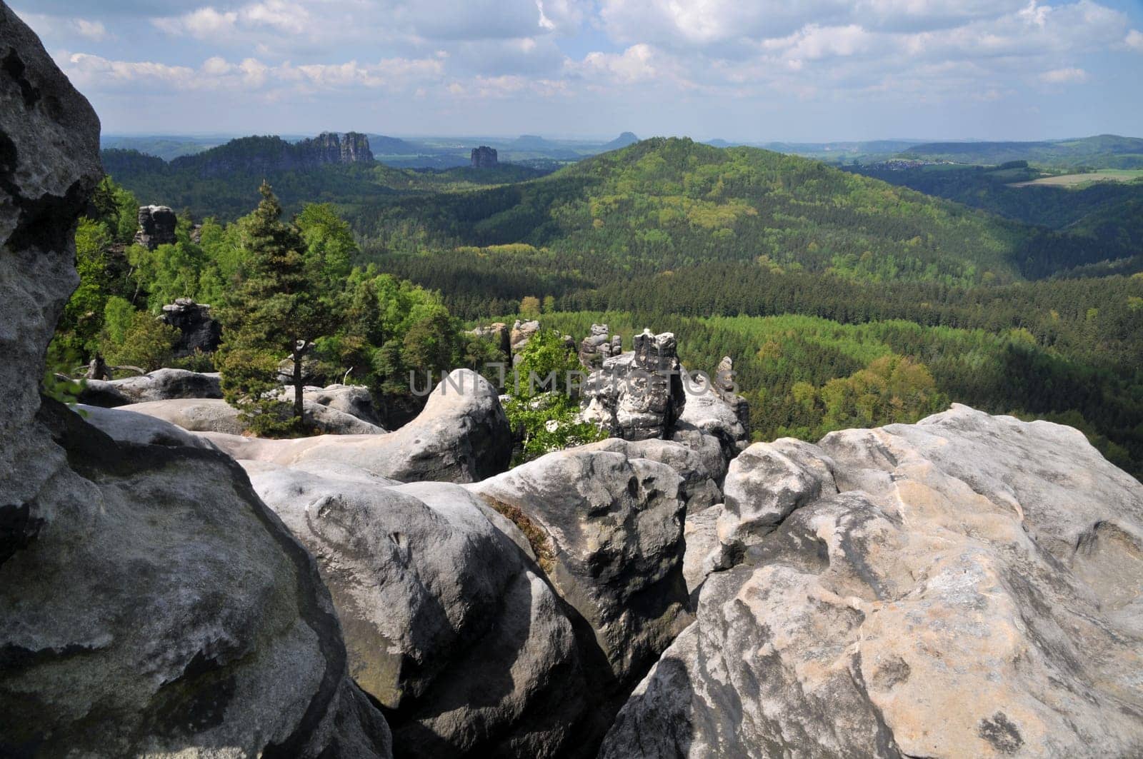 Rocky landscape of Saxon Switzerland